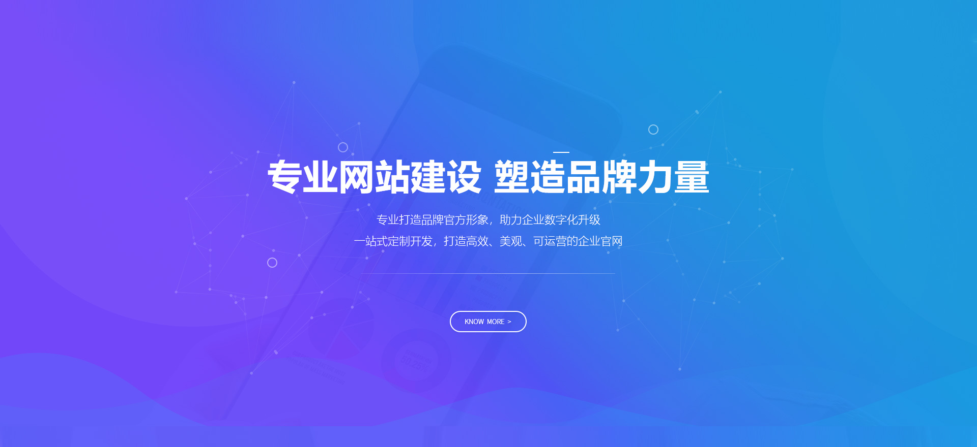 拉萨建站-专业网站建设 塑造品牌力量