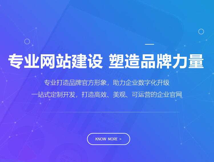 拉萨建站-专业网站建设 塑造品牌力量